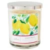 Hallmark Lemon Grove 3-Wick Jar Candle 16 Oz.